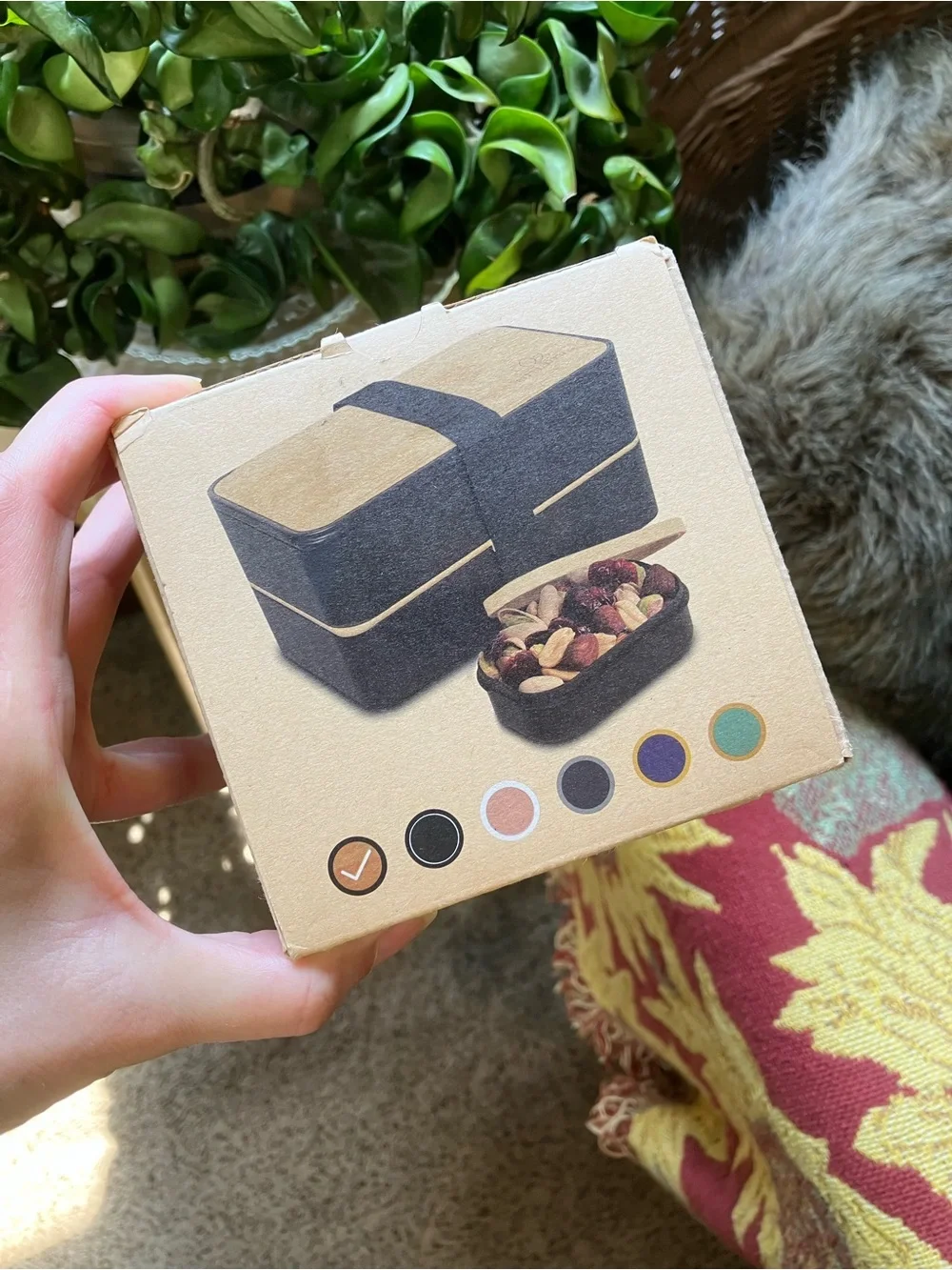 All-in-One Umami Bento Box Lunch Container with Bamboo Lid - 40oz